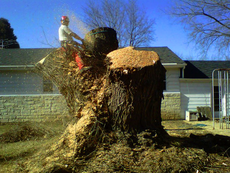 h2 man using chainsaw to remove tree tree removal hartland wi