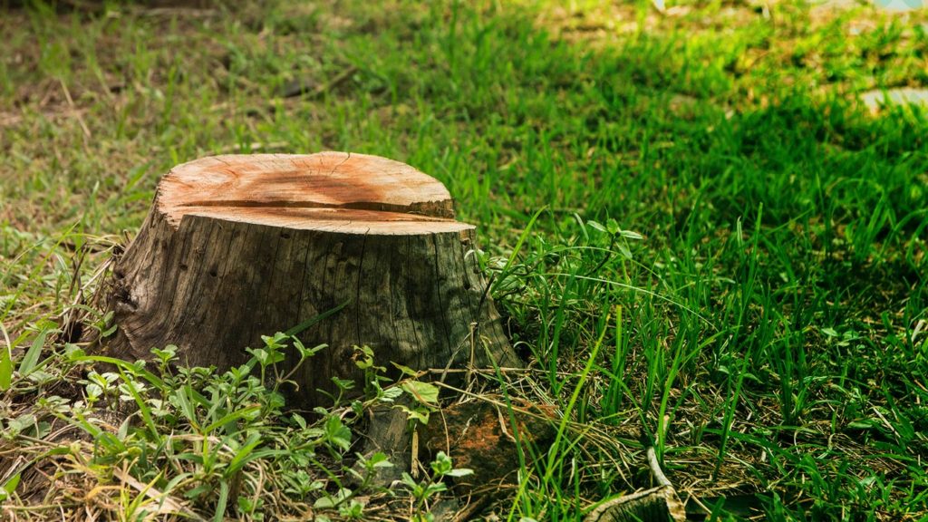 hero stump grinding hartland wi