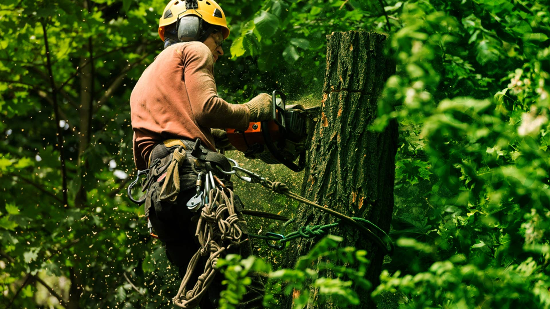 hero tree removal near hartland wi
