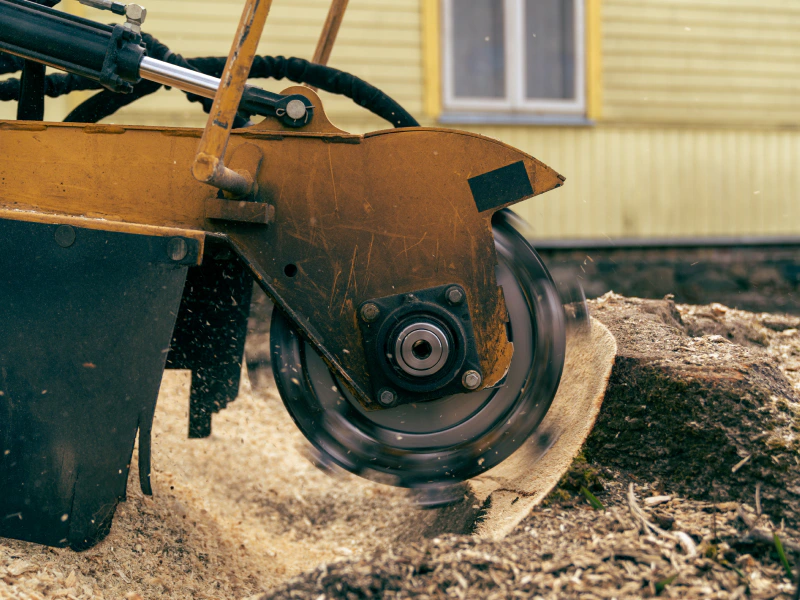 stump removal services new berlin wi