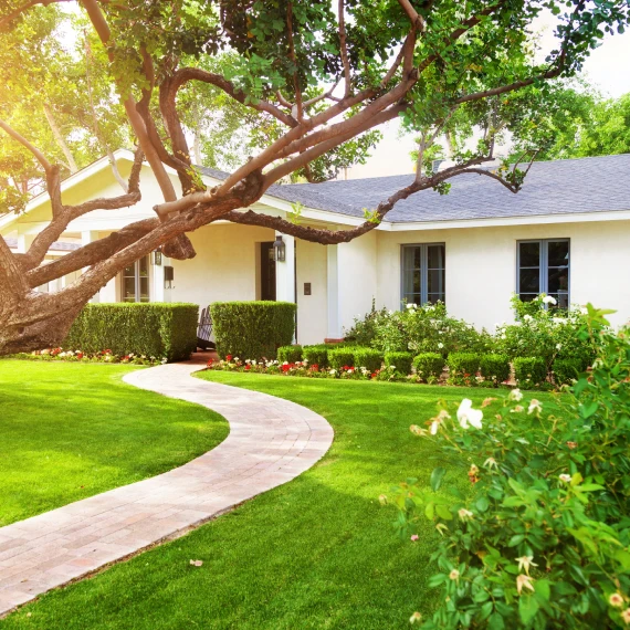 Home Hazardous Limb Removal