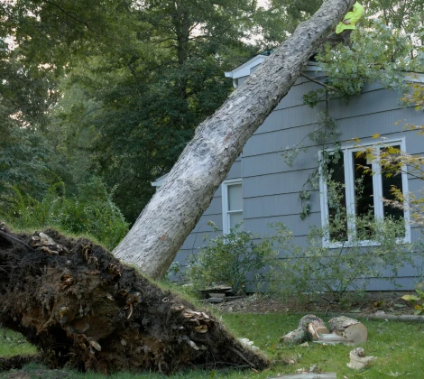 Home Storm Damage
