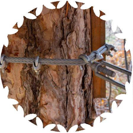 Heavy Limb Support icon