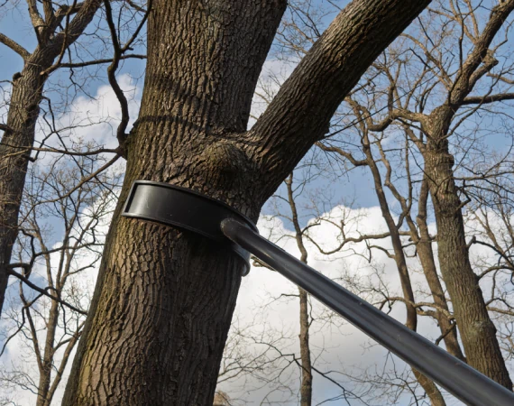 Heavy Limb Support