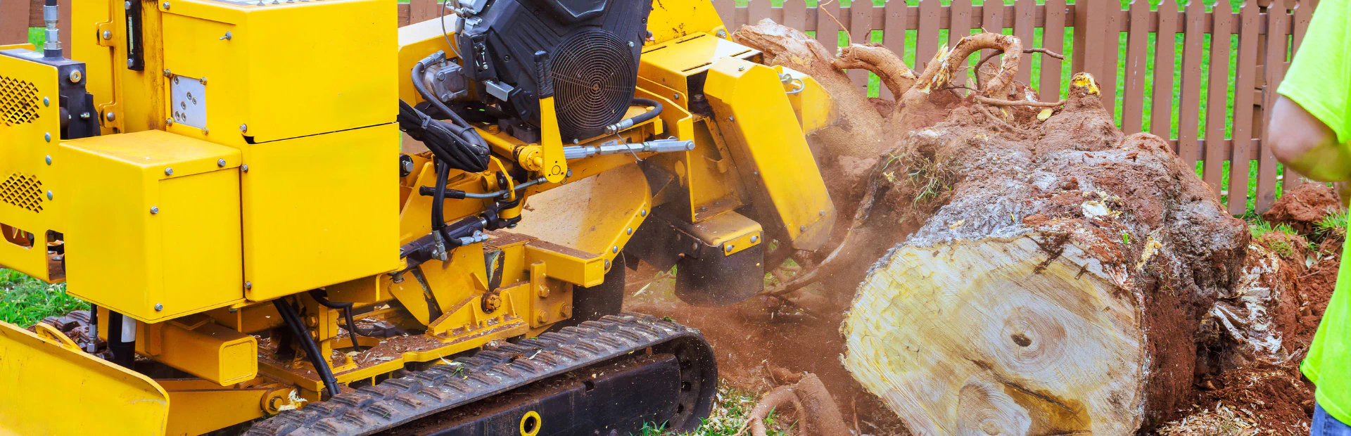 Root Removal and Cleanup breadcrumb