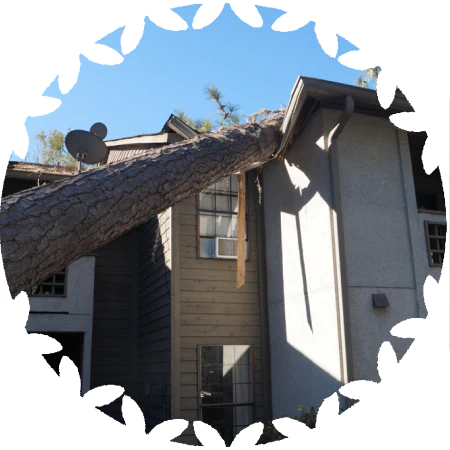 Storm Damage Cleanup icon
