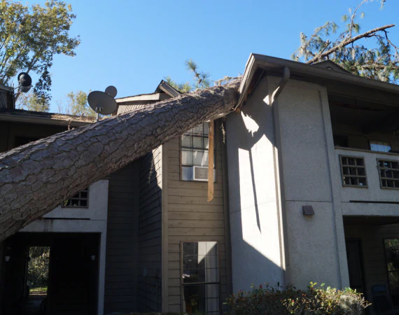 Storm Damage Prevention 2
