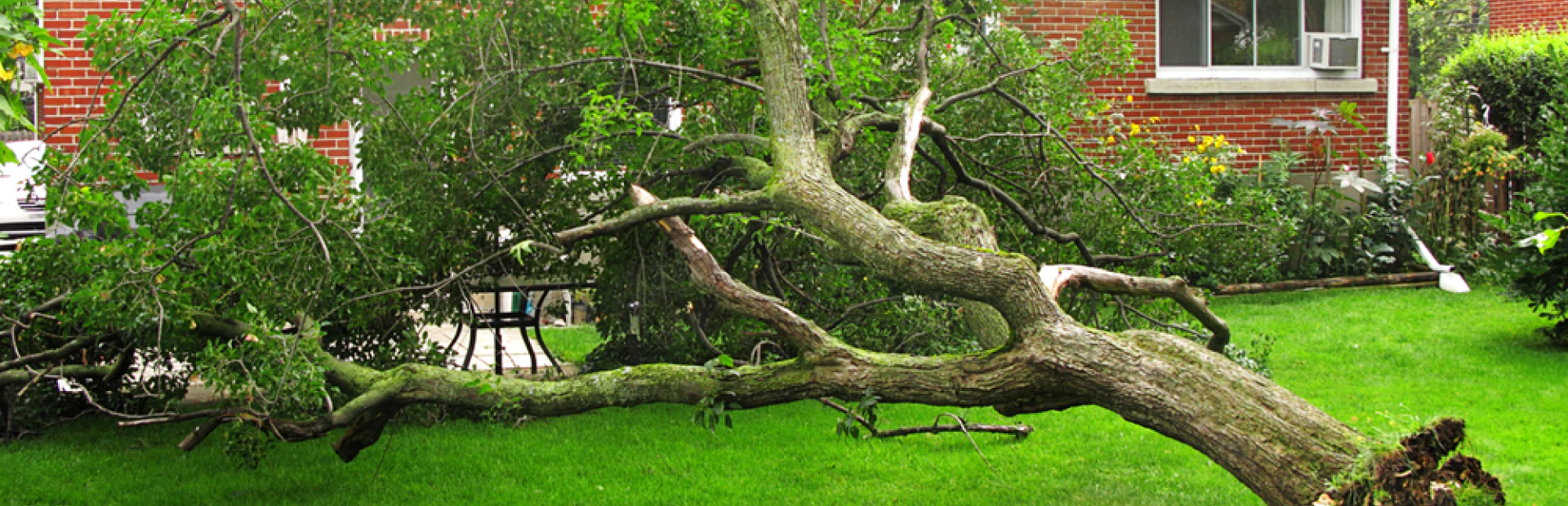 Storm Damage Prevention breadcrumb