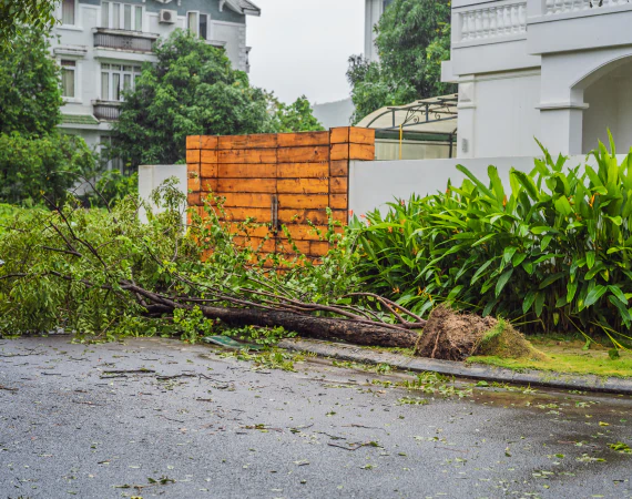 Storm Damage Prevention
